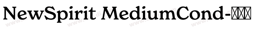 NewSpirit MediumCond字体转换